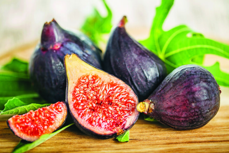 Fantastic Figs